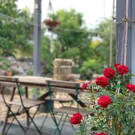Trullo Scirocco - Apulian House
